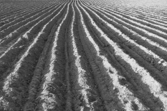 2020-161-00001