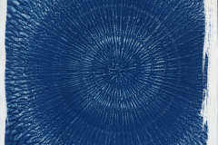 Cyanotypie_2026_007-scaled