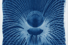Cyanotypie_2026_016-scaled