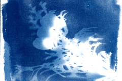 Cyanotypie_2025007